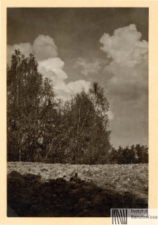 Mołod&oacute;w na Polesiu