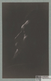 Portret wykonany przez Jana Bułhaka